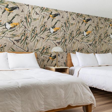 The Windmoor Lodge Грейлинг Номер фото