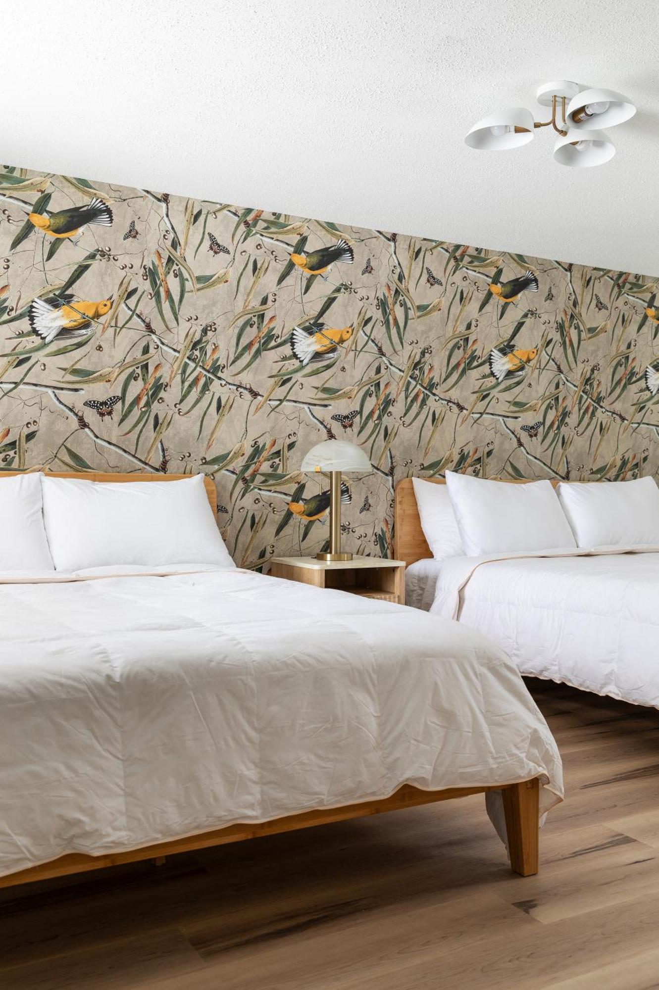 The Windmoor Lodge Грейлинг Номер фото